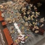 626861470_888354357449675_6442318597646712603_n