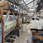 626871578_888355194116258_1428255127170086507_n