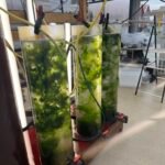 627480469_888355004116277_555276801799274086_n